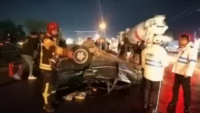1743873393_5449645.jpg