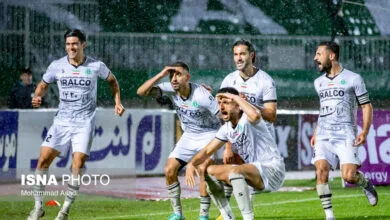ارتباط فردا