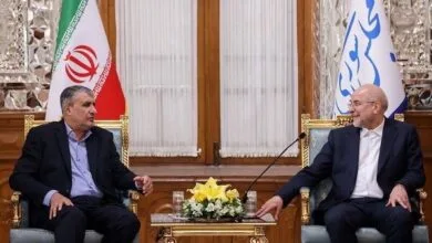 ارتباط فردا