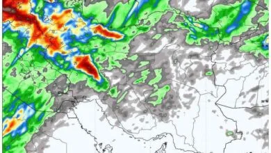 ارتباط فردا