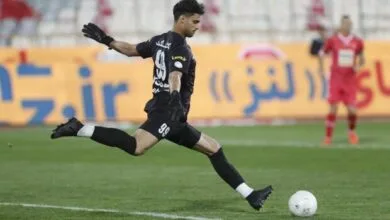 ارتباط فردا
