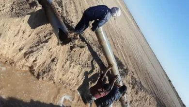 ارتباط فردا
