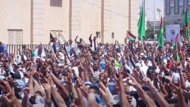 ارتباط فردا