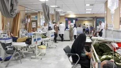 ارتباط فردا