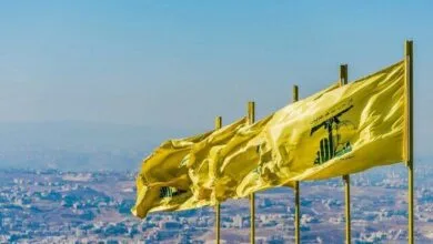 ارتباط فردا