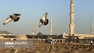 ارتباط فردا