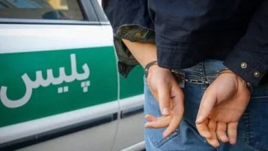 ارتباط فردا