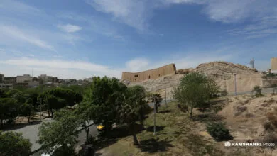 ارتباط فردا