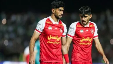 ارتباط فردا