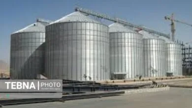ارتباط فردا