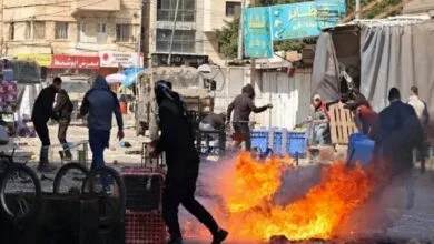 ارتباط فردا