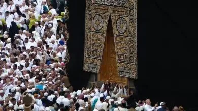 ارتباط فردا