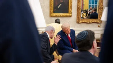 ارتباط فردا
