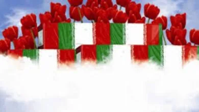 ارتباط فردا