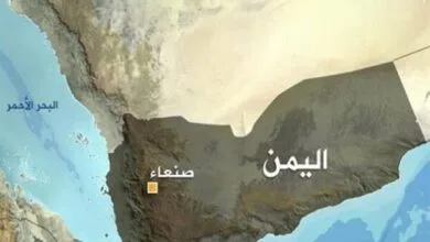 ارتباط فردا