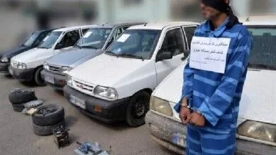 ارتباط فردا