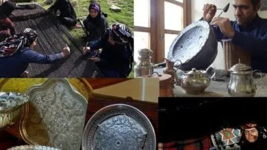 ارتباط فردا