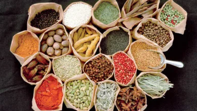 این قارچ را حتی با احتیاط هم نخورید | به جای زنجبیل، پودر آجر میفروشند! این قارچ را حتی با احتیاط هم نخورید | به جای زنجبیل، پودر آجر میفروشند!