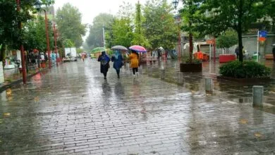 5162818.jpg