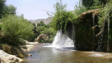 ارتباط فردا