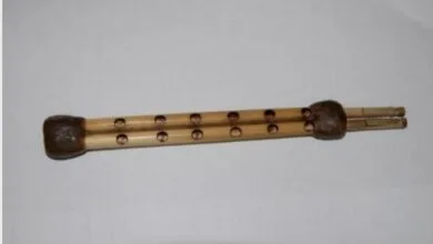ارتباط فردا