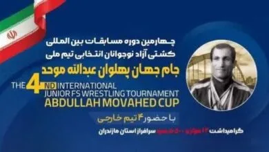 ارتباط فردا