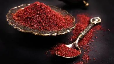 ارتباط فردا