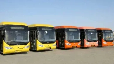 94646.jpg