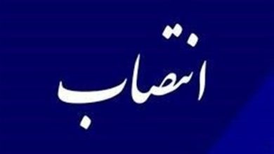 مدیرکل دفتر برنامه‌ریزی آموزش عالی وزارت علوم منصوب شد