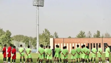 6094406.jpg