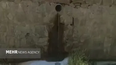 ارتباط فردا