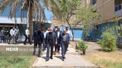 ارتباط فردا