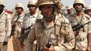 ارتباط فردا