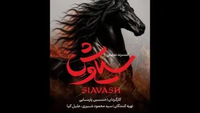 «سیاوش» به هیچ نهادی وابسته نیست؛ هزینه‌ها کاملا شخصی است!