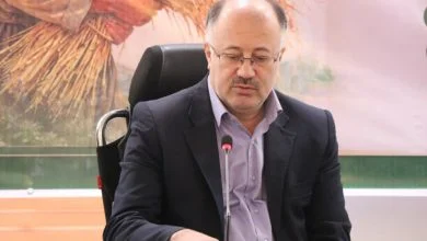 افزایش تولید مرکبات در مازندران؛ برداشت زودهنگام پرهیز شود