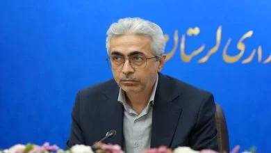 ۱۷.۵ درصد از هدف‌گذاری اشتغال لرستان محقق شده است
