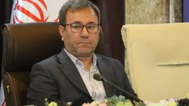 6176209.jpg