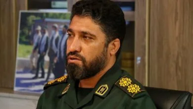 6190678.jpg