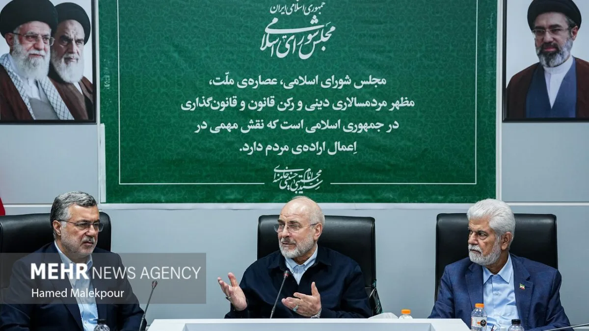 نشست بررسی مسائل حوزه بهداشت، درمان و سلامت با حضور رئیس مجلس